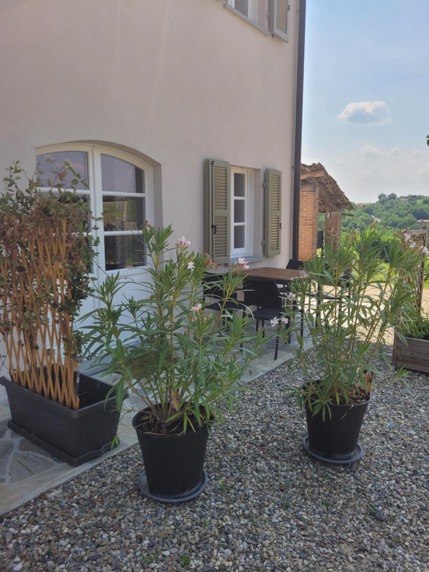 Cascina Allegria Castelnuovo  Exterior foto